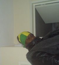 coolblackdon coolblackdon