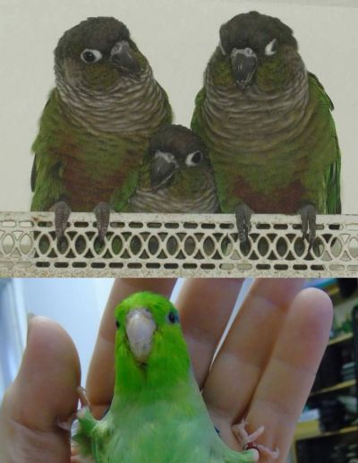 1cuddler4me Image 3